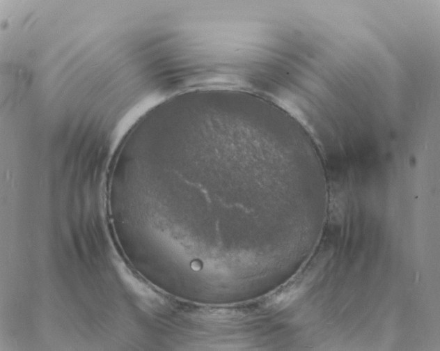 X0000088031474200705182013