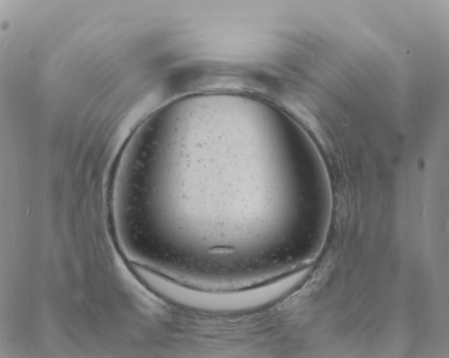 X0000088031475200705182013