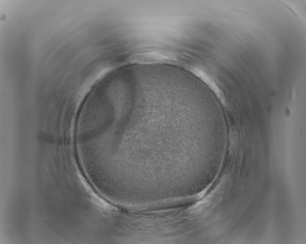 X0000088031477200705182013