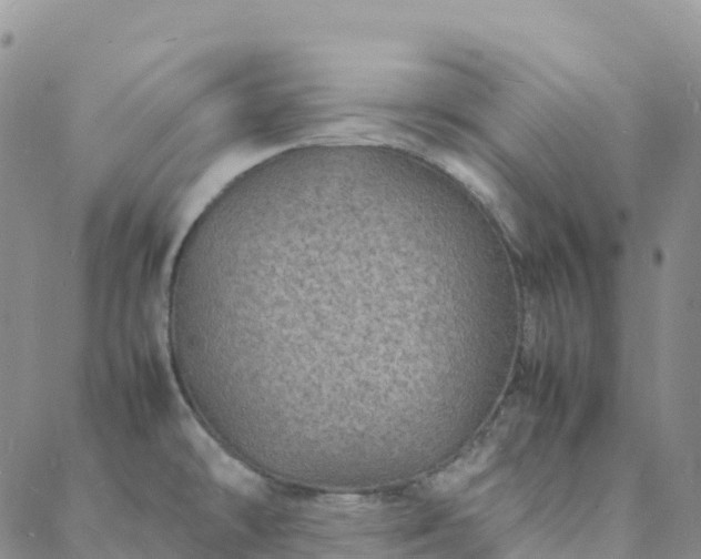 X0000088031478200705182013