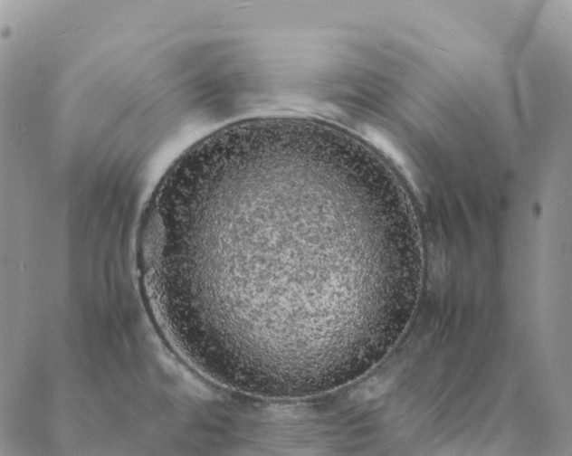 X0000088031480200705182013