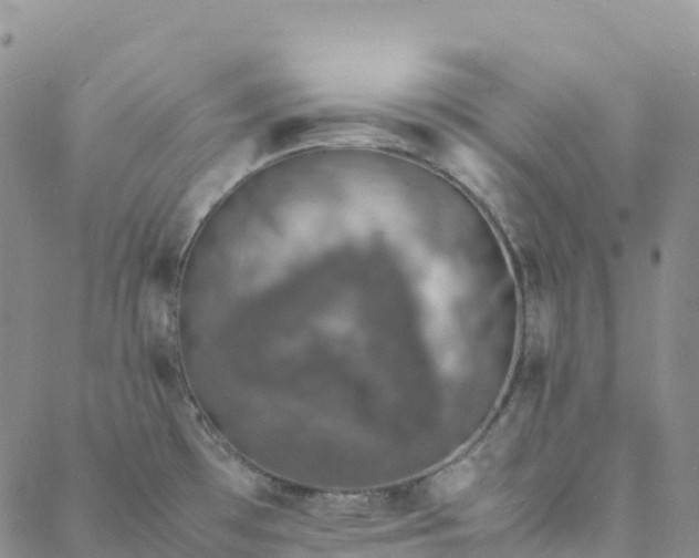 X0000088031481200705182013