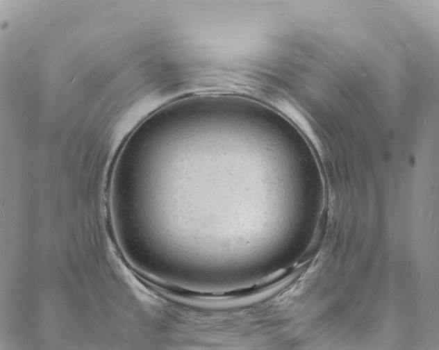 X0000088031485200705182013