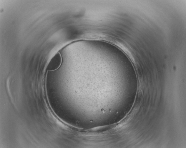 X0000088031486200705182013