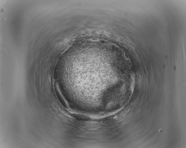 X0000088031489200705182012