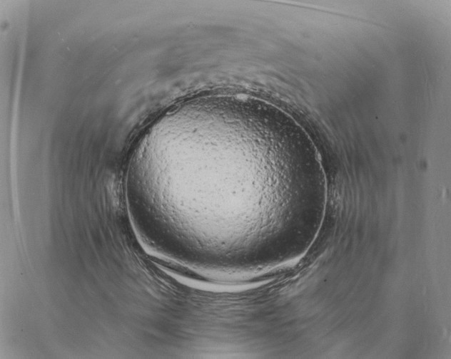 X0000088031490200705182012