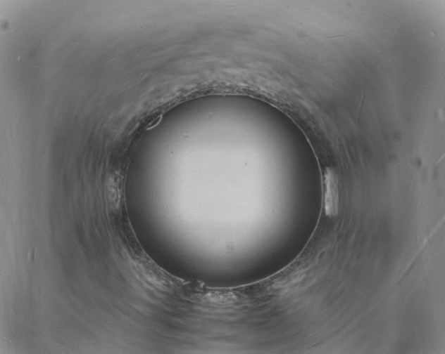 X0000088031491200705182012