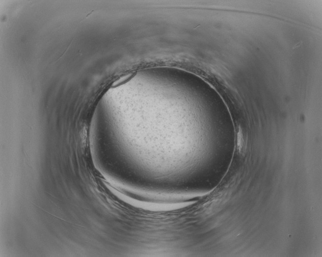 X0000088031492200705182012