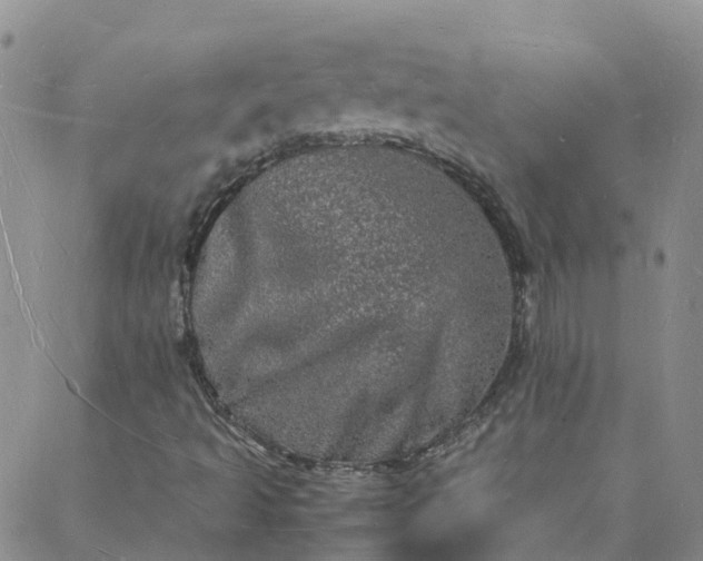 X0000088031493200705182012