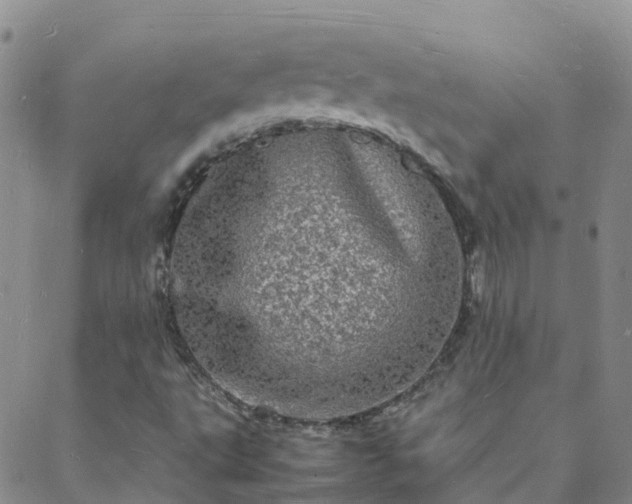 X0000088031495200705182012