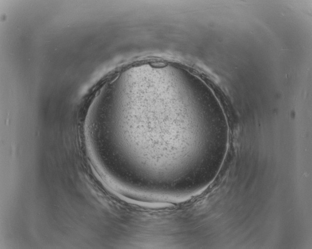 X0000088031496200705182012