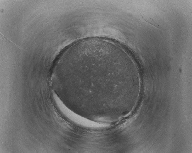 X0000088031497200705182012