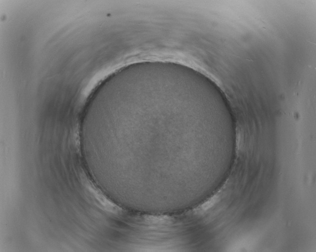 X0000088031498200705182012