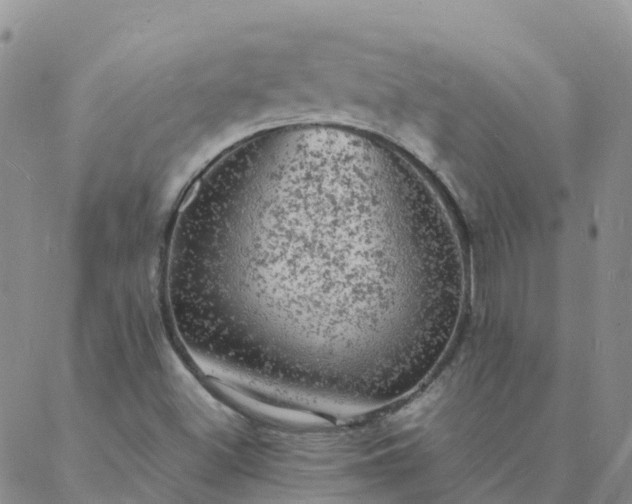 X0000088031500200705182012