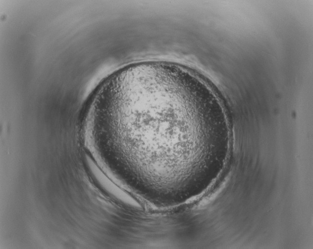 X0000088031501200705182012