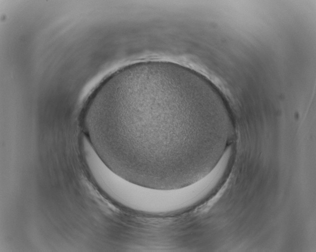 X0000088031502200705182012