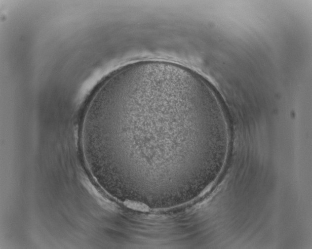 X0000088031503200705182012