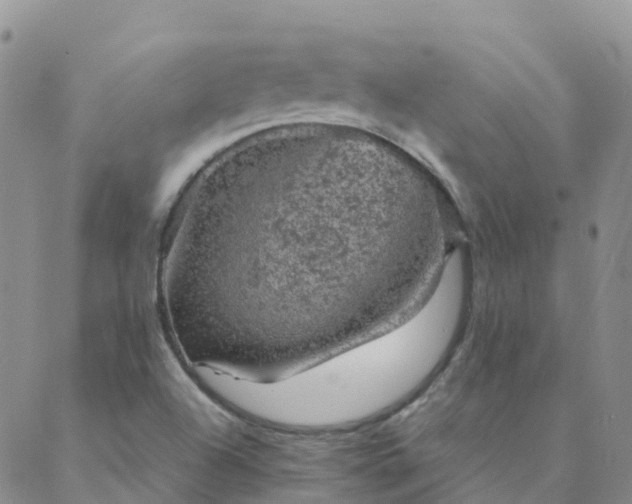 X0000088031504200705182012