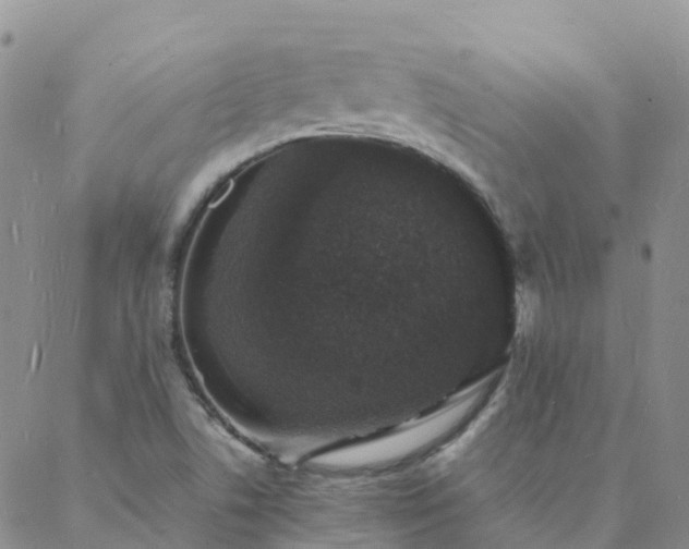 X0000088031506200705182012