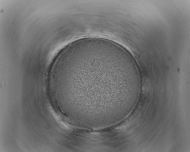 X0000088031507200705182012