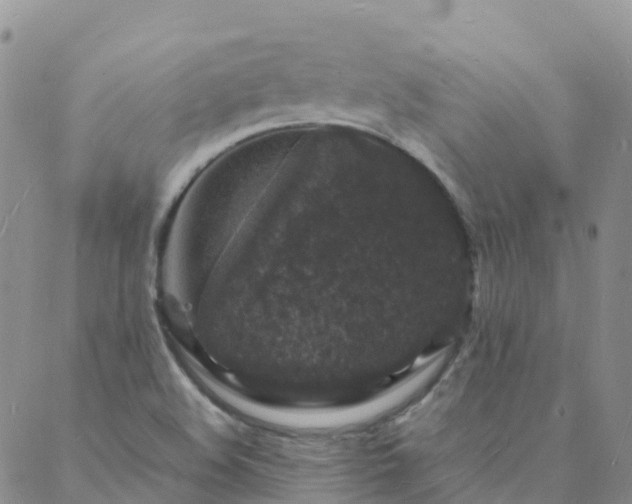 X0000088031508200705182012