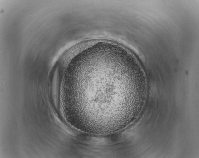 X0000088031509200705182012