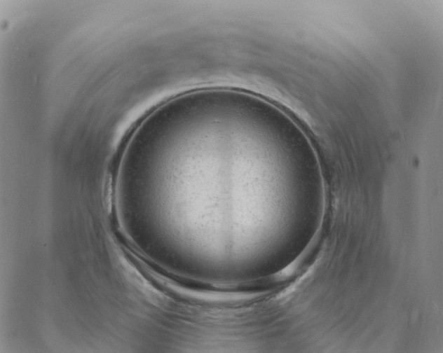 X0000088031510200705182012