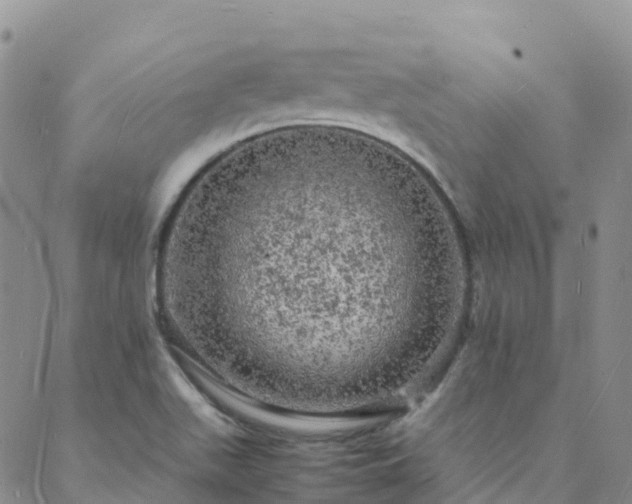 X0000088031511200705182012