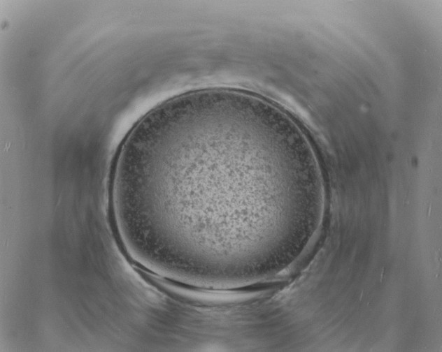 X0000088031512200705182012