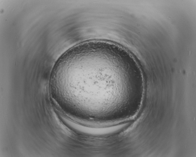 X0000088031513200705182012