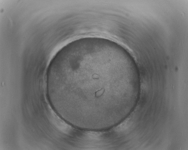 X0000088031514200705182012