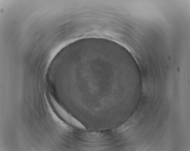 X0000088031515200705182012