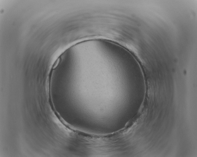 X0000088031516200705182012