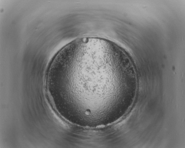 X0000088031517200705182012