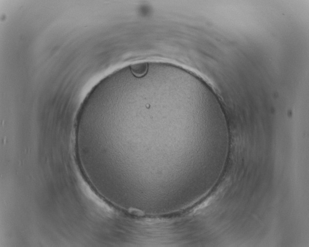 X0000088031518200705182012