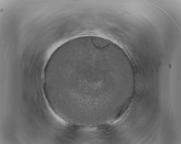 X0000088031519200705182012