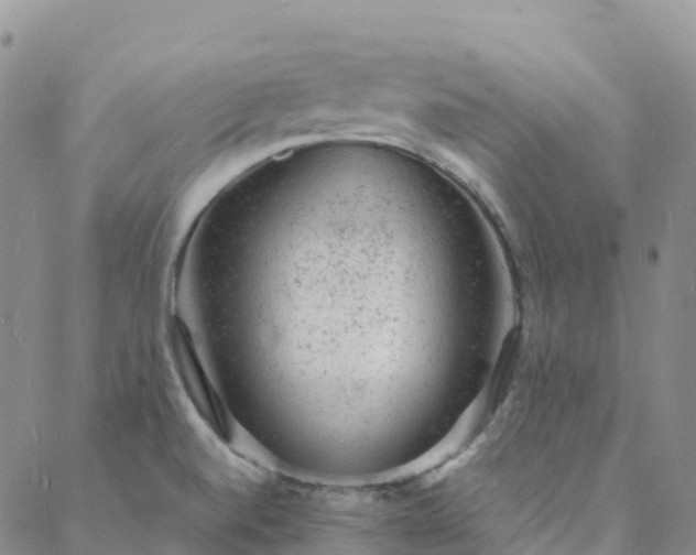 X0000088031520200705182012