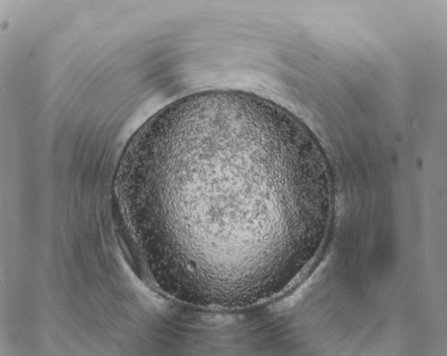 X0000088031521200705182012