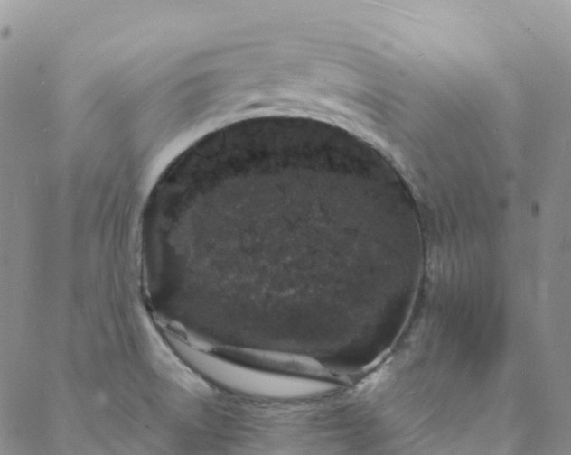 X0000088031522200705182013