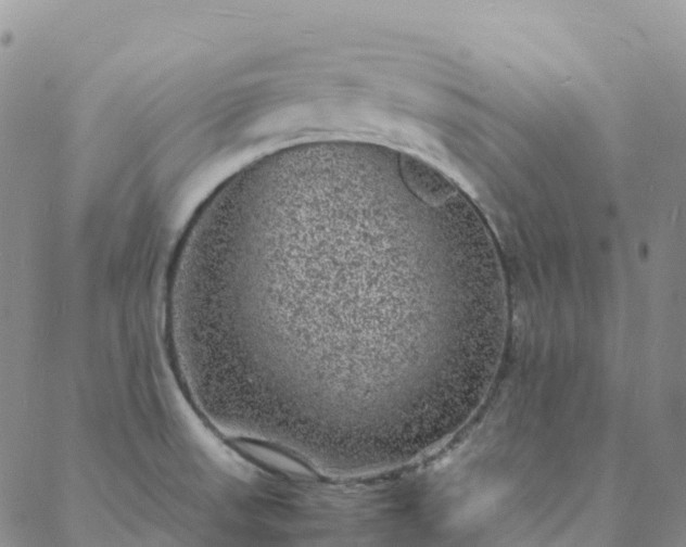 X0000088031523200705182013