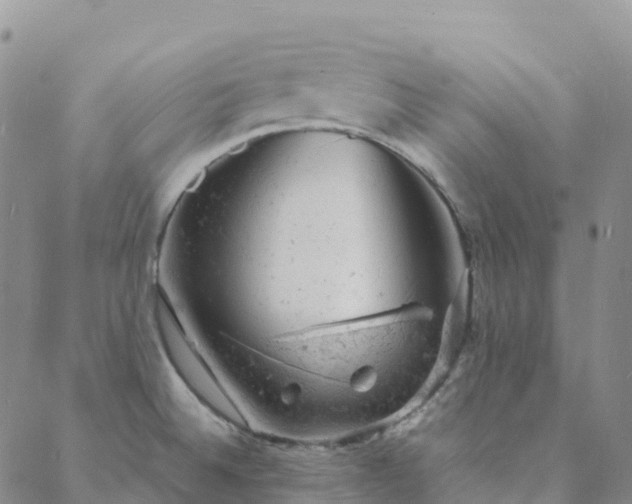 X0000088031524200705182013