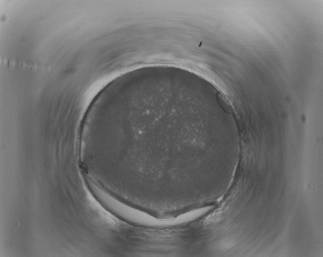 X0000088031527200705182013