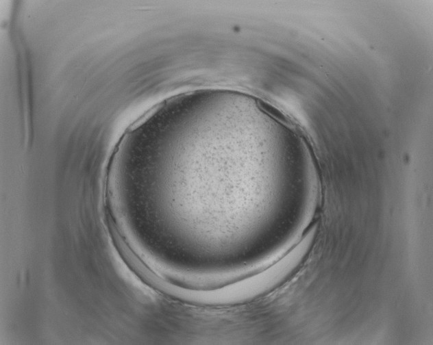 X0000088031528200705182013