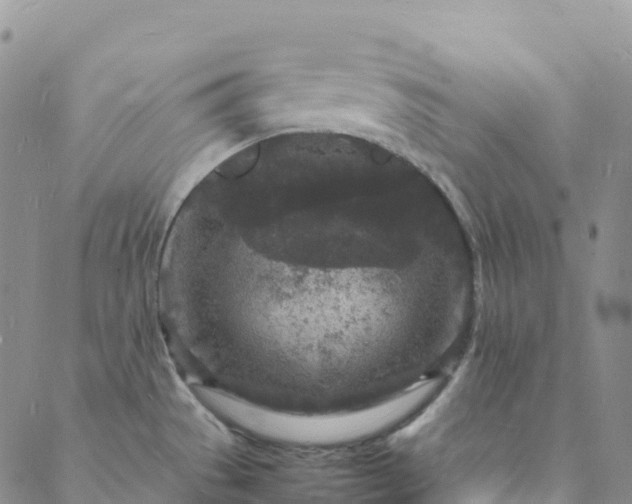 X0000088031529200705182013