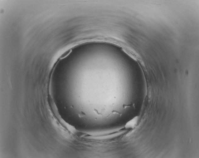 X0000088031530200705182013