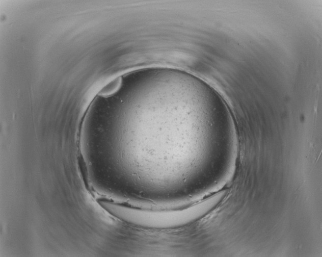 X0000088031532200705182013