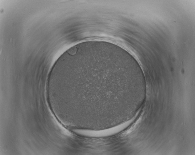 X0000088031533200705182013