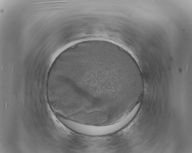 X0000088031534200705182013