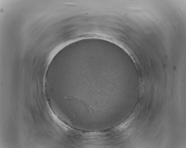 X0000088031535200705182013