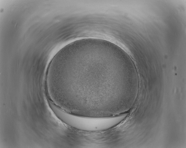 X0000088031536200705182013